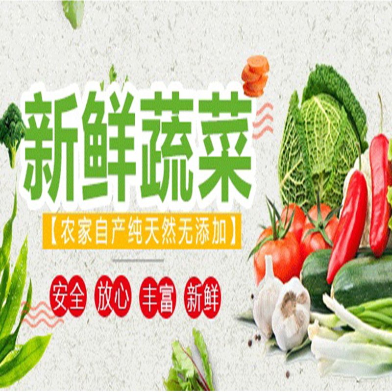 大棚种植技术更新:如何轻松应对市场变化